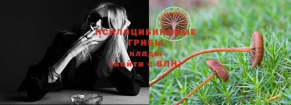 a pvp Строитель
