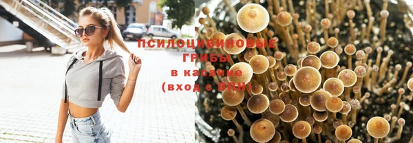 a pvp Балабаново